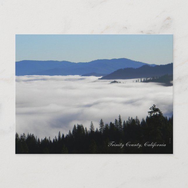 Fog-See... Postkarte (Vorderseite)