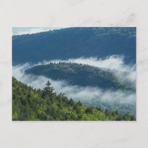 Fog Streaming by Connors Nubble, Acadia NP, Maine Postkarte