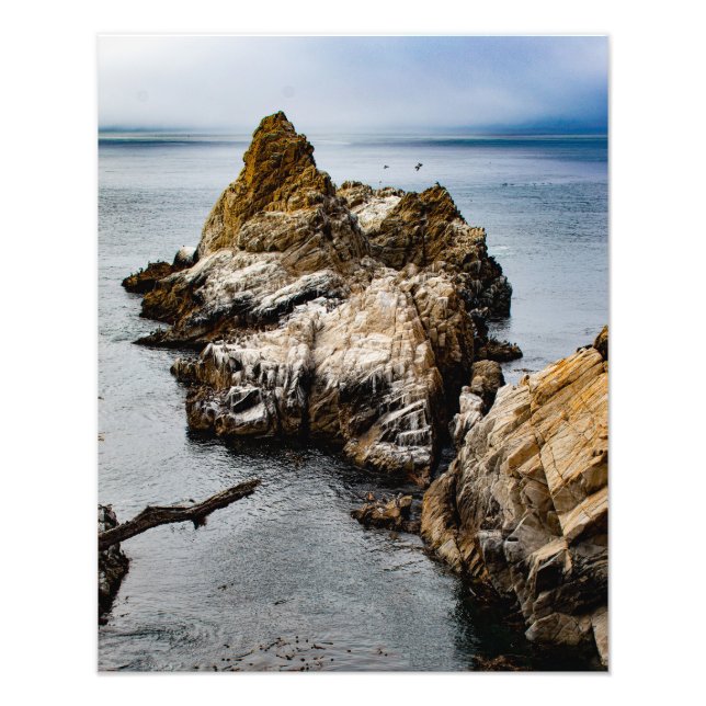 Foggy Abend bei Point Lobos Fotodruck (Vorne)