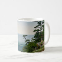 Foggy at Petit Jean Coffee Tasse