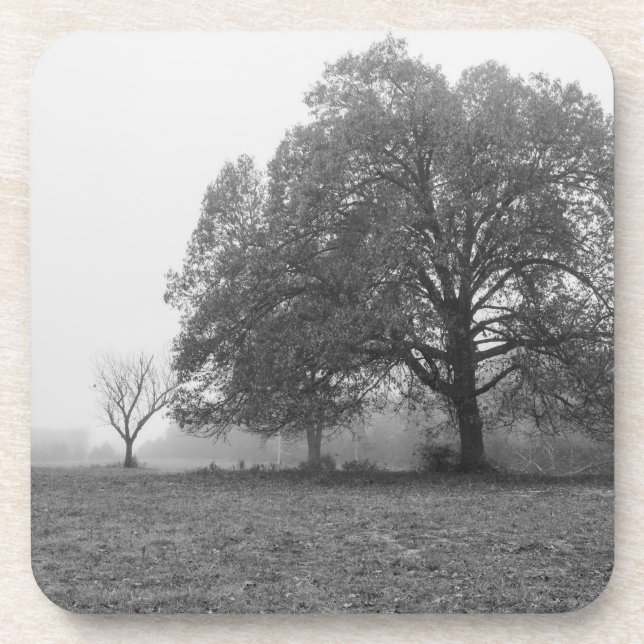 Foggy Autumn Morning Grauscale Getränkeuntersetzer (Vorderseite)