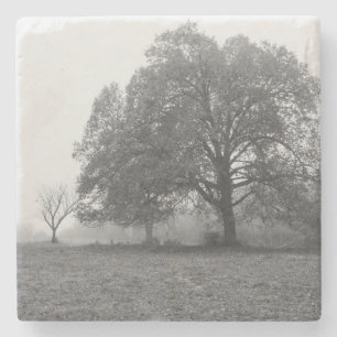 Foggy Autumn Morning Grauscale Steinuntersetzer