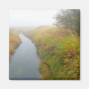 Foggy Bach 2 Magnet