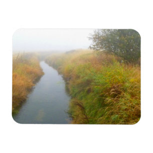 Foggy Bach 2 Magnet
