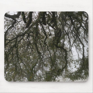 Foggy Blue Oaks Mousepad