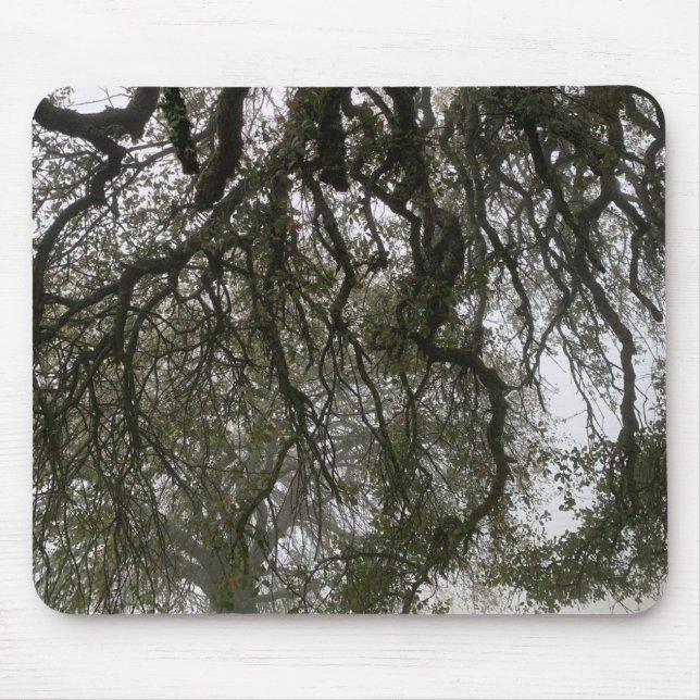 Foggy Blue Oaks Mousepad (Vorne)