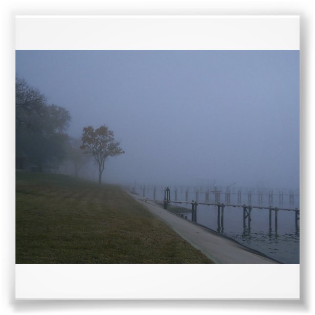 Foggy Day Tree Foto Print (Vorne)