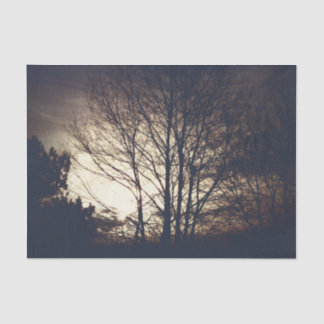 Foggy Fall Abend Seidenpapier