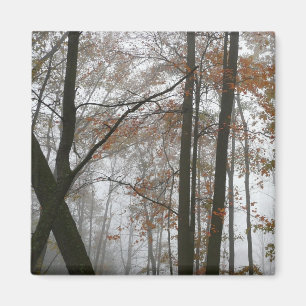 Foggy Fall in Pennsylvania Herbst Natur Magnet