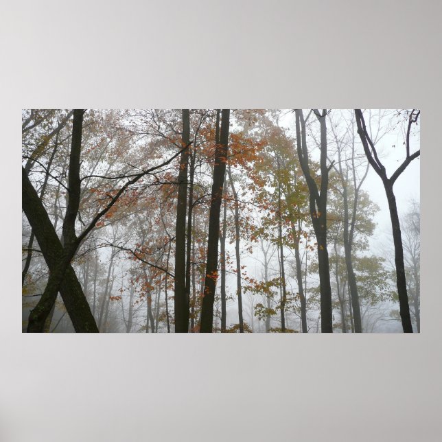 Foggy Fall in Pennsylvania Herbst Natur Poster (Vorne)