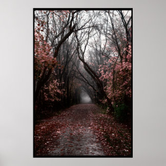 Foggy Fall Trail Poster