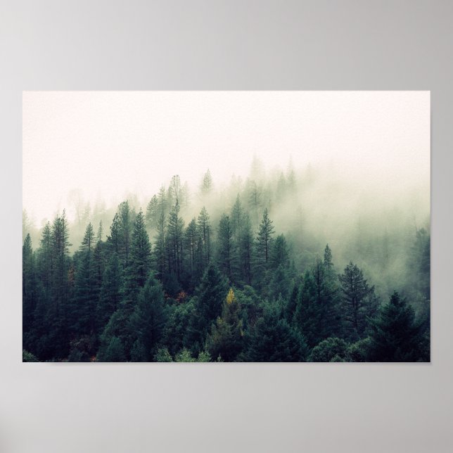 Foggy Forest Poster (Vorne)