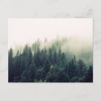 Foggy Forest Postkarte