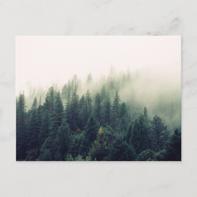 Foggy Forest Postkarte (Vorderseite)