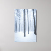 Foggy gefrorener Winterwald