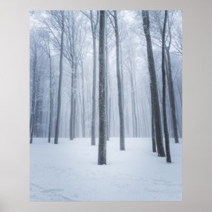 Foggy gefrorener Winterwald Poster