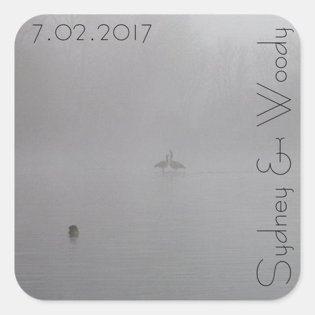 Foggy Gese Quadratischer Aufkleber (Vorderseite)