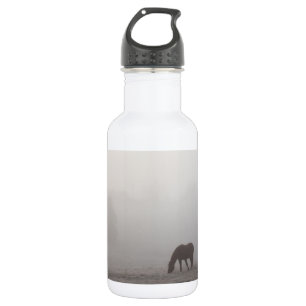 Foggy Grazing Stainless Steel Water Flasche Edelstahlflasche
