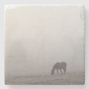 Foggy Grazing Steinuntersetzer