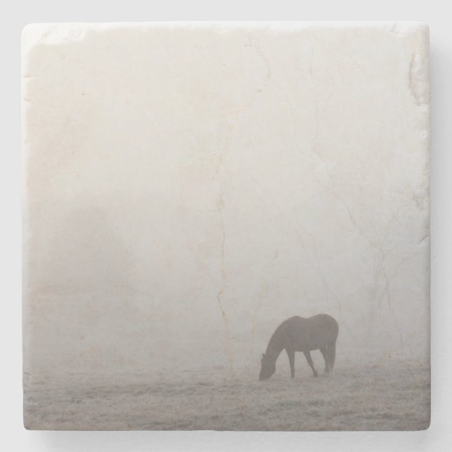 Foggy Grazing Steinuntersetzer (Vorderseite)