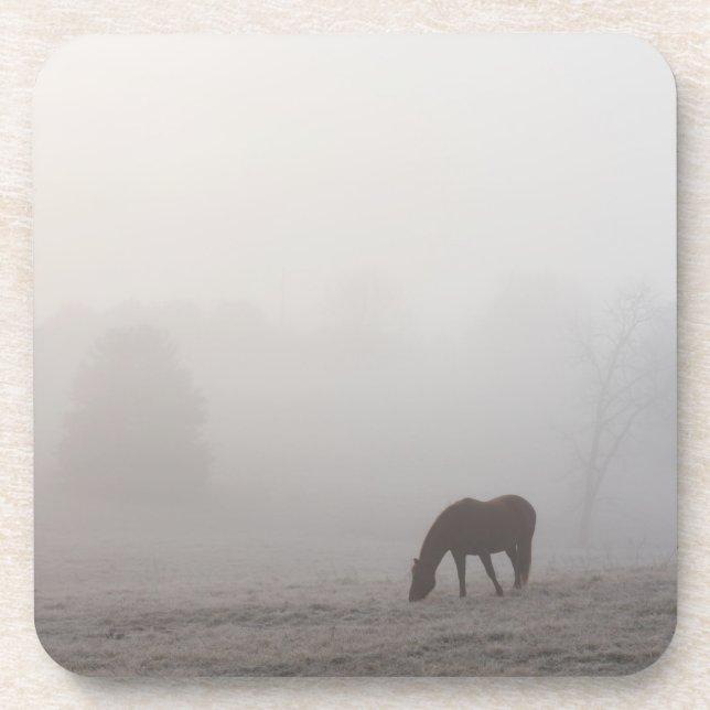 Foggy Grazing Untersetzer (Vorderseite)
