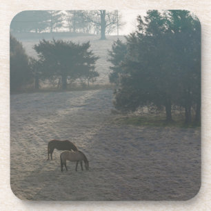 Foggy Grazing Untersetzer