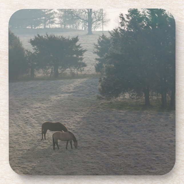 Foggy Grazing Untersetzer (Vorderseite)
