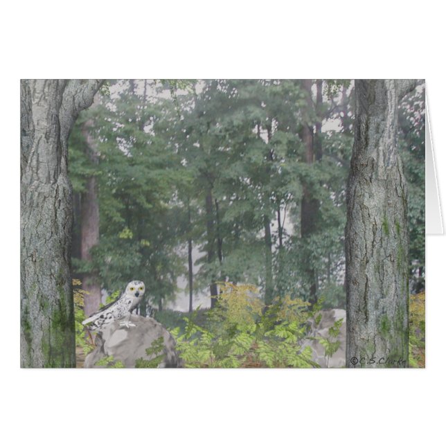 Foggy Lake (Vorderseite (Horizontal))