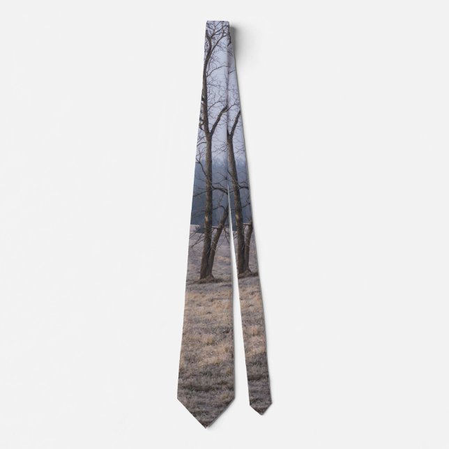 Foggy Meadow Neck Tie Krawatte (Vorderseite)