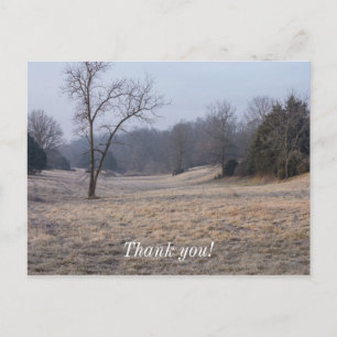 Foggy Meadow Postkarte