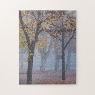Foggy Morgens im Dom Park Puzzle