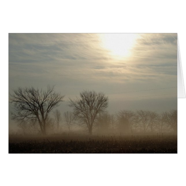 Foggy Morning (Vorderseite (Horizontal))