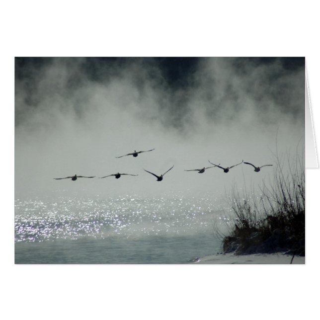 Foggy Morning Flight Card (Vorderseite (Horizontal))