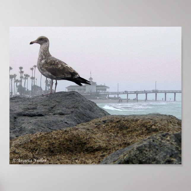 Foggy Morning in Newport Beach Print Poster (Vorne)