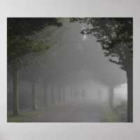 Foggy Morning