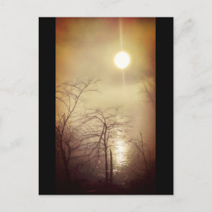 Foggy Morning Postkarte