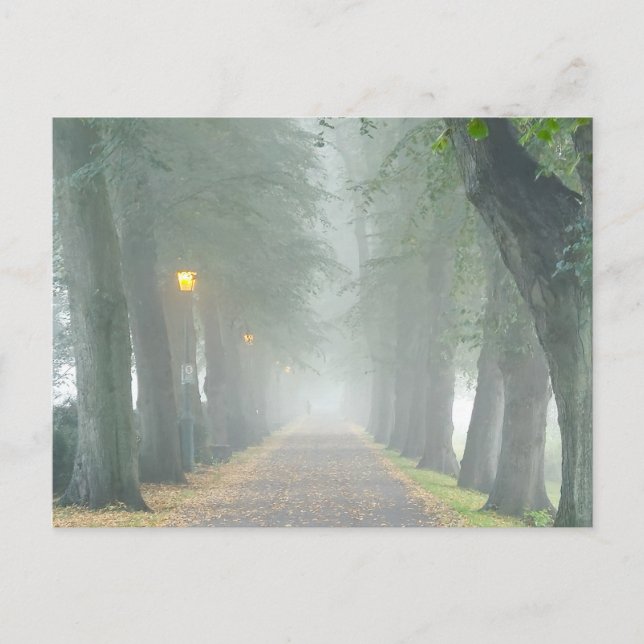 Foggy Morning Postkarte (Vorderseite)