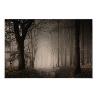 Foggy Morning Rushmere Country Park (0856) Fotodruck