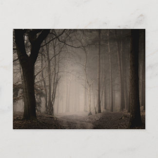 Foggy Morning Rushmere Country Park (0856) Postkarte