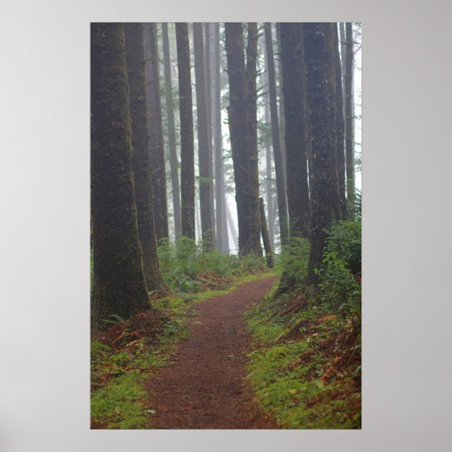 Foggy morning, (Semi-Gloss) Poster (Vorne)