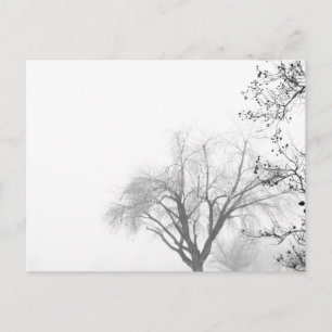 Foggy Morning Trees Postkarte
