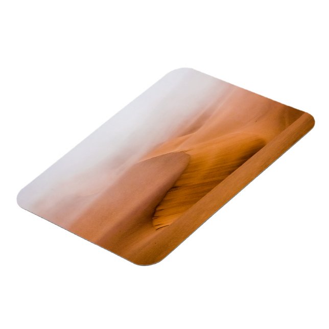 Foggy Namib Desert Magnet (Linke Seite)