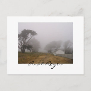 Foggy Point Reyes Postcard Postkarte