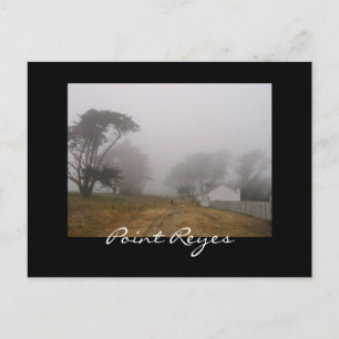 Foggy Point Reyes Postcard Postkarte