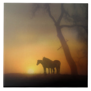 Foggy Sunrise Horses and Oaktree Fliese