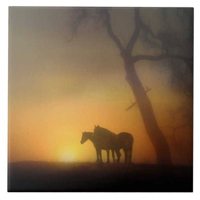 Foggy Sunrise Horses and Oaktree Fliese (Vorderseite)