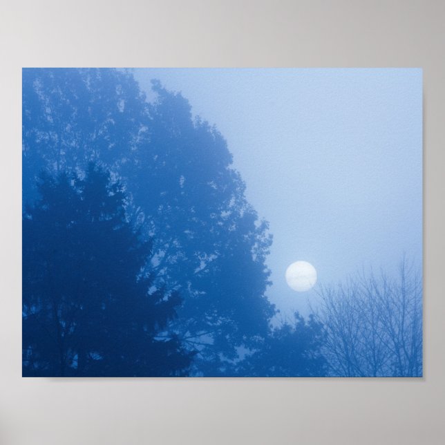 Foggy Sunrise Poster (Vorne)