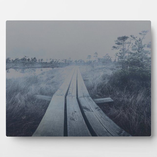 Foggy swamp landscape fotoplatte (Vorderseite)