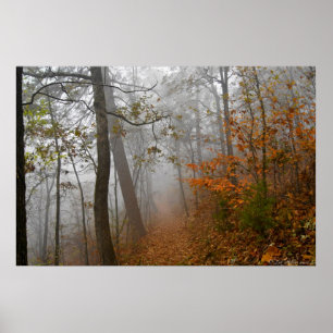 Foggy Trail im Herbst Forest Poster