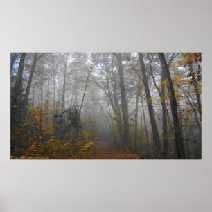 Foggy Train im Spätherbst Waldposter Poster